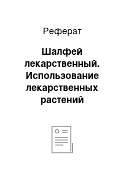 Реферат: Шалфей лекарственный. Использование лекарственных растений семейства Губоцветные (Lamiaceae) в народной и научной медицине