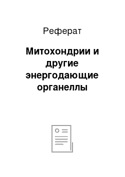 Реферат: Митохондрии и другие энергодающие органеллы