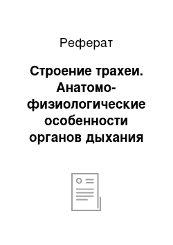 Реферат: Строение трахеи. Анатомо-физиологические особенности органов дыхания