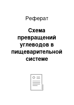 Реферат: Схема превращений углеводов в пищеварительной системе