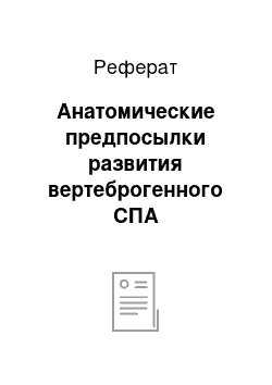 Реферат: Анатомические предпосылки развития вертеброгенного СПА