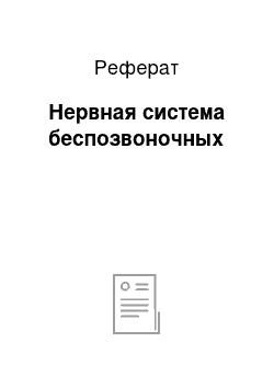 Реферат: Нервная система беспозвоночных