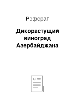 Реферат: Дикорастущий виноград Азербайджана