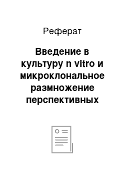 Реферат: Введение в культуру n vitro и микроклональное размножение перспективных сортов, клоновых подвоев и дикорастущих форм яблони