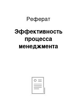 Реферат: Эффективность процесса менеджмента