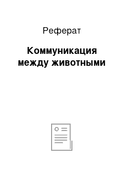 Реферат: Коммуникация между животными