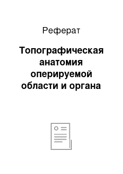 Реферат: Топографическая анатомия оперируемой области и органа