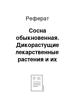 Реферат: Сосна обыкновенная. Дикорастущие лекарственные растения и их применение в медицине