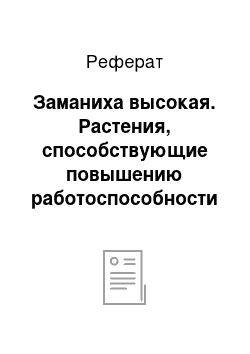 Реферат: Заманиха высокая. Растения, способствующие повышению работоспособности