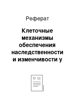 Реферат: Клеточные механизмы обеспечения наследственности и изменчивости у человека