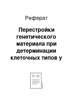 Реферат: Перестройки генетического материала при детерминации клеточных типов у дрожжей