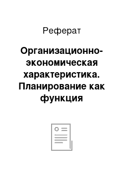 Реферат: Организационно-экономическая характеристика. Планирование как функция управления