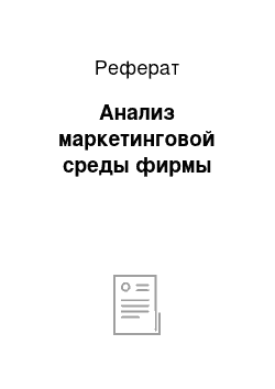 Реферат: Анализ маркетинговой среды фирмы