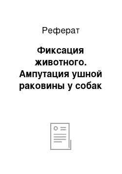 Реферат: Фиксация животного. Ампутация ушной раковины у собак