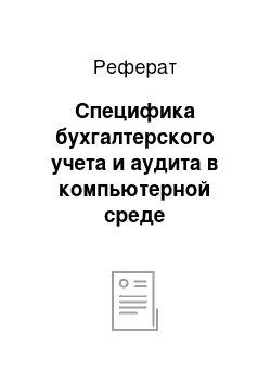 Реферат: Специфика бухгалтерского учета и аудита в компьютерной среде