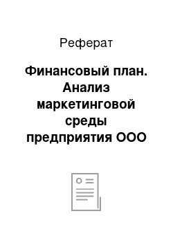 Реферат: Финансовый план. Анализ маркетинговой среды предприятия ООО "Мебель Лайн"