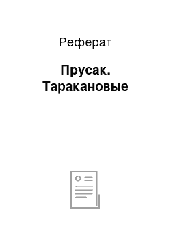 Реферат: Прусак. Таракановые