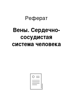 Реферат: Вены. Сердечно-сосудистая система человека