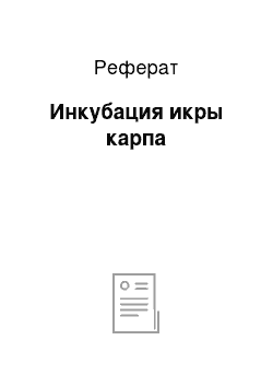 Реферат: Инкубация икры карпа