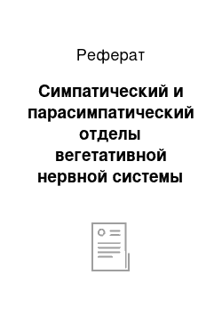 Реферат: Симпатический и парасимпатический отделы вегетативной нервной системы