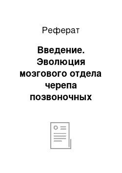 Реферат: Введение. Эволюция мозгового отдела черепа позвоночных