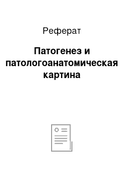 Реферат: Патогенез и патологоанатомическая картина