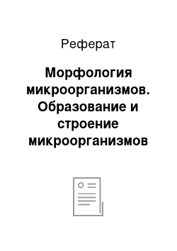 Реферат: Морфология микроорганизмов. Образование и строение микроорганизмов