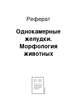 Реферат: Однокамерные желудки. Морфология животных