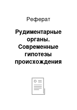 Реферат: Рудиментарные органы. Современные гипотезы происхождения человека