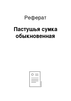 Реферат: Пастушья сумка обыкновенная