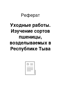 Реферат: Уходные работы. Изучение сортов пшеницы, возделываемых в Республике Тыва