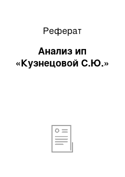 Реферат: Анализ ип «Кузнецовой С.Ю.»