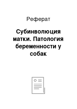 Реферат: Субинволюция матки. Патология беременности у собак