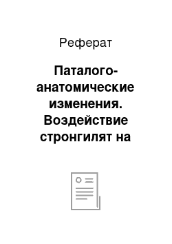 Реферат: Паталого-анатомические изменения. Воздействие стронгилят на организм животного