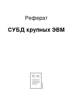 Реферат: СУБД крупных ЭВМ