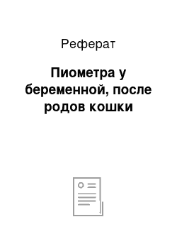 Реферат: Пиометра у беременной, после родов кошки