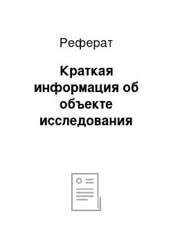 Реферат: Краткая информация об объекте исследования