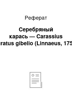 Реферат: Серебряный карась — Сarassius auratus gibelio (Linnaeus, 1758)