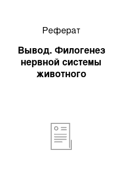 Реферат: Вывод. Филогенез нервной системы животного