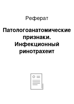 Реферат: Патологоанатомические признаки. Инфекционный ринотрахеит