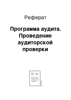 Реферат: Программа аудита. Проведение аудиторской проверки