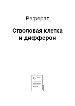 Реферат: Стволовая клетка и дифферон