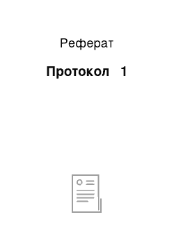 Реферат: Протокол № 1