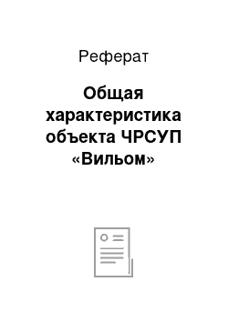 Реферат: Общая характеристика объекта ЧРСУП «Вильом»