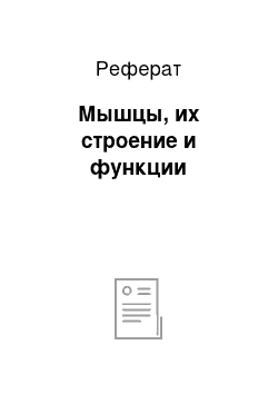 Реферат: Мышцы, их строение и функции