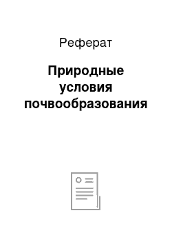 Реферат: Природные условия почвообразования