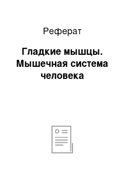 Реферат: Гладкие мышцы. Мышечная система человека