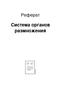 Реферат: Система органов размножения