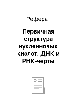 Реферат: Первичная структура нуклеиновых кислот. ДНК и РНК-черты сходства и различия состава, локализации в клетке, функции