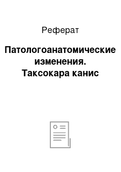 Реферат: Патологоанатомические изменения. Таксокара канис